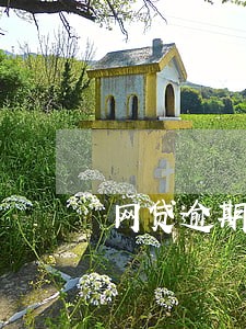 网贷逾期的多不