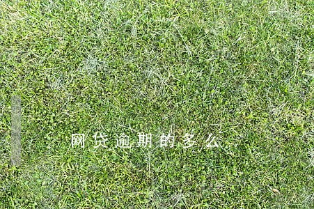 网贷逾期的多么 网贷逾期的多么