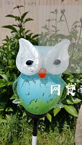 网贷逾期的奇葩案例
