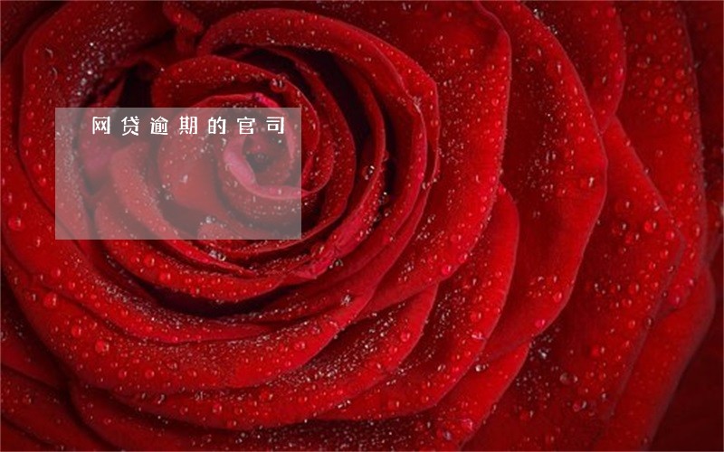 网贷逾期的官司 网贷逾期的官司