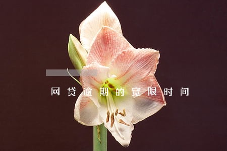 网贷逾期的宽限时间 网贷逾期的宽限时间