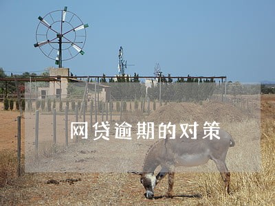 网贷逾期的对策