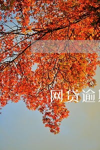 网贷逾期的平台特别多 网贷逾期的平台特别多