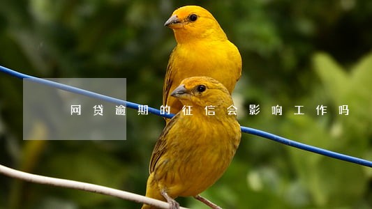 网贷逾期的征信会影响工作吗 网贷逾期的征信会影响工作吗