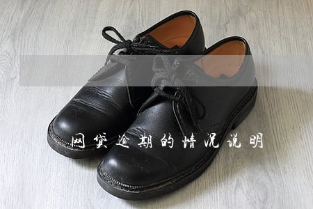 网贷逾期的情况说明 网贷逾期的情况说明