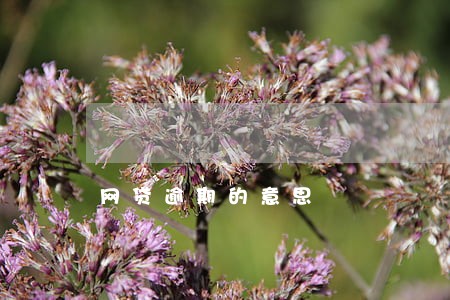 网贷逾期的意思 网贷逾期的意思