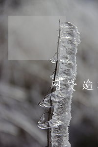 网贷逾期的投诉 网贷逾期的投诉