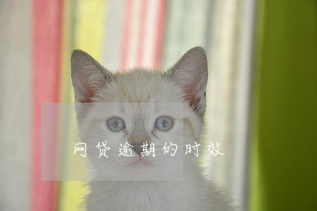 网贷逾期的时效 网贷逾期的时效
