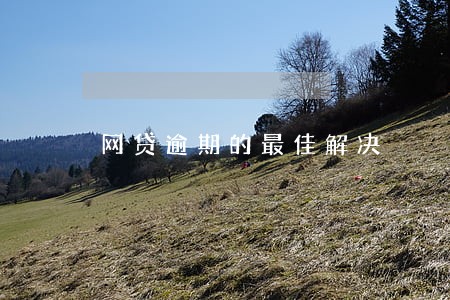 网贷逾期的最佳解决 网贷逾期的最佳解决