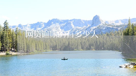 网贷逾期的有多少人 网贷逾期的有多少人