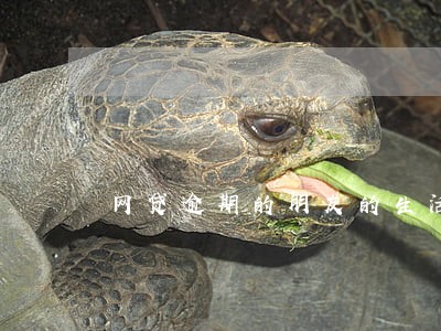 网贷逾期的朋友的生活 网贷逾期的朋友的生活