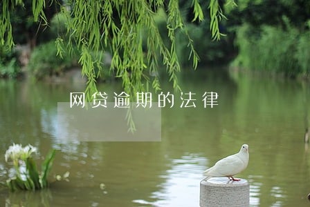 网贷逾期的法律