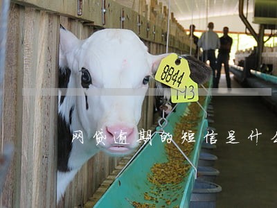 网贷逾期的短信是什么样的 网贷逾期的短信是什么样的