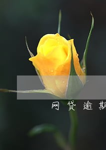 网贷逾期的罚息有规定吗 网贷逾期的罚息有规定吗