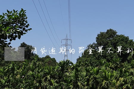 网贷逾期的罚金算不算利息 网贷逾期的罚金算不算利息