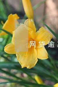 网贷逾期的老哥最后都怎么样了 网贷逾期的老哥最后都怎么样了