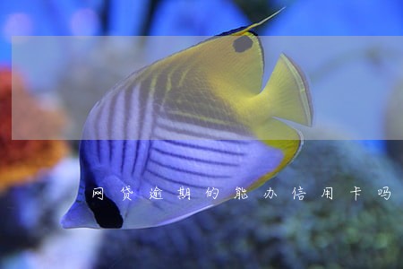 网贷逾期的能办信用卡吗 网贷逾期的能办信用卡吗