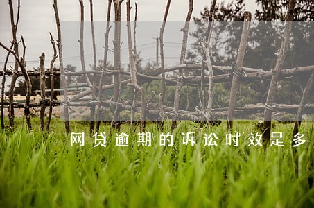 网贷逾期的诉讼时效是多久 网贷逾期的诉讼时效是多久