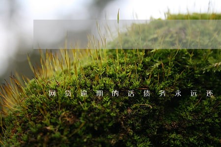网贷逾期的话债务永远还不清了吗 网贷逾期的话债务永远还不清了吗