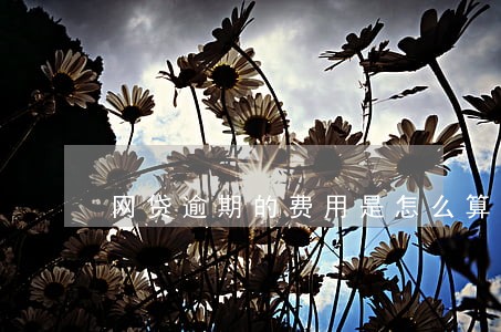 网贷逾期的费用是怎么算的 网贷逾期的费用是怎么算的
