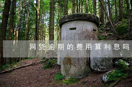 网贷逾期的费用算利息吗 网贷逾期的费用算利息吗