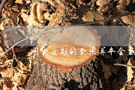 网贷逾期的费用算本金里吗