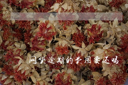 网贷逾期的费用要还吗 网贷逾期的费用要还吗