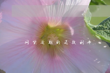 网贷逾期的还款利率 网贷逾期的还款利率