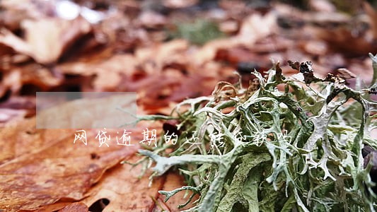 网贷逾期的还能贷款吗 网贷逾期的还能贷款吗