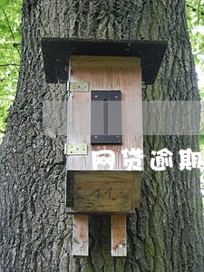 网贷逾期的违约金合法吗