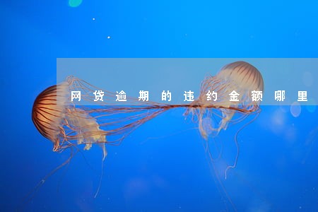 网贷逾期的违约金额哪里看 网贷逾期的违约金额哪里看