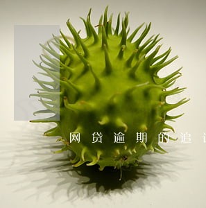 网贷逾期的追诉期是多长 网贷逾期的追诉期是多长