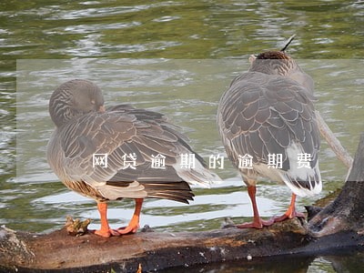 网贷逾期的逾期费 网贷逾期的逾期费