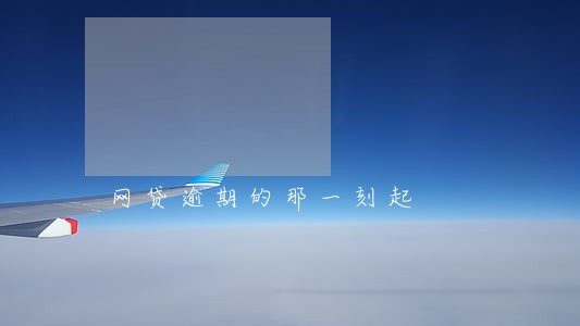网贷逾期的那一刻起