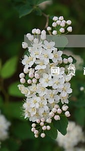 网贷逾期的钱怎么拿回 网贷逾期的钱怎么拿回