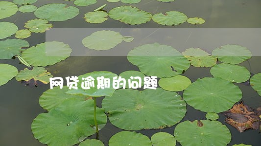 网贷逾期的问题 网贷逾期的问题