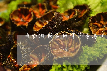 网贷逾期盈科律师事务所