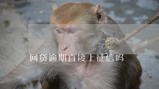 网贷逾期直接上征信吗 网贷逾期直接上征信吗
