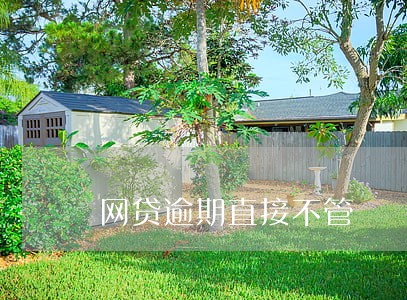 网贷逾期直接不管 网贷逾期直接不管