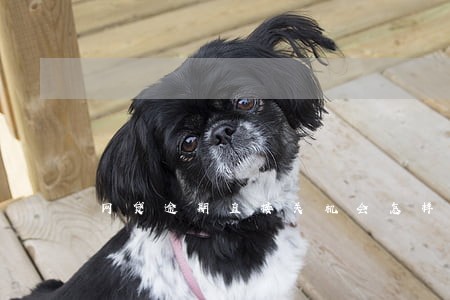 网贷逾期直接关机会怎样 网贷逾期直接关机会怎样