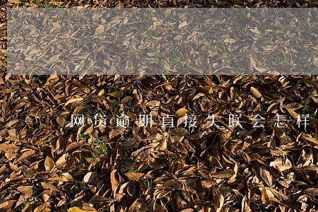 网贷逾期直接失联会怎样 网贷逾期直接失联会怎样