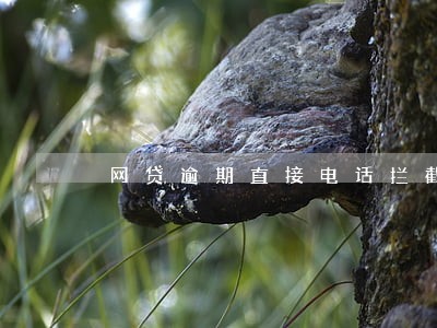 网贷逾期直接电话拦截会怎样 网贷逾期直接电话拦截会怎样