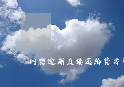 网贷逾期直接还给资方可以不 网贷逾期直接还给资方可以不