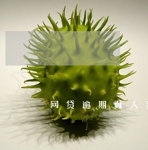 网贷逾期真人案例 网贷逾期真人案例
