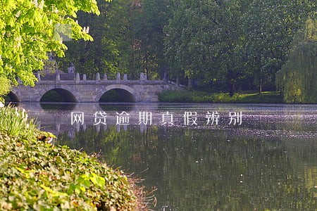 网贷逾期真假辨别