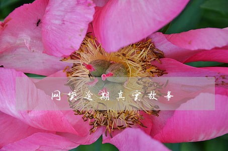 网贷逾期真实故事 网贷逾期真实故事