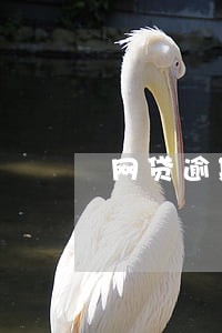 网贷逾期真实电话 网贷逾期真实电话