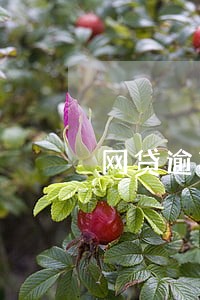 网贷逾期真的上门吗 网贷逾期真的上门吗