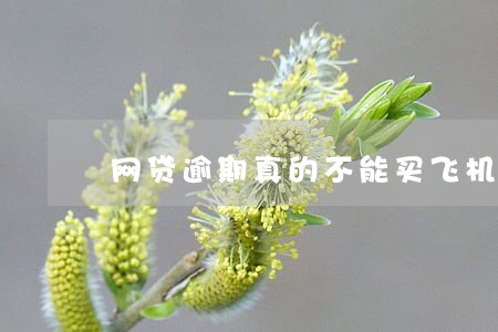 网贷逾期真的不能买飞机票了吗 网贷逾期真的不能买飞机票了吗