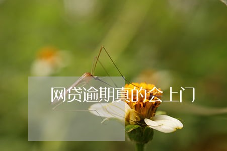 网贷逾期真的会上门 网贷逾期真的会上门
